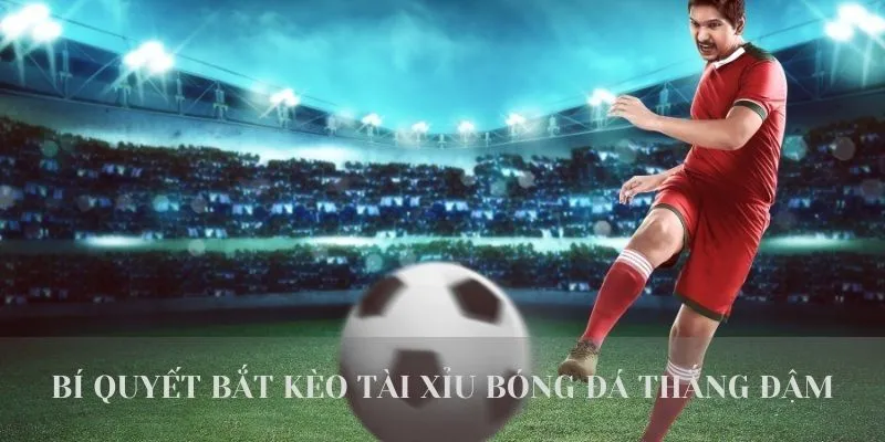 Bí quyết bắt kèo tài xỉu bóng đá thắng đậm