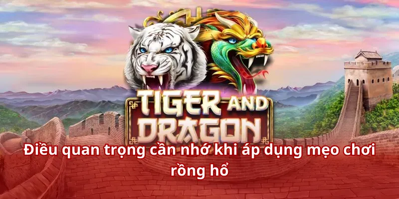 Điều quan trọng cần nhớ khi áp dụng mẹo chơi rồng hổ