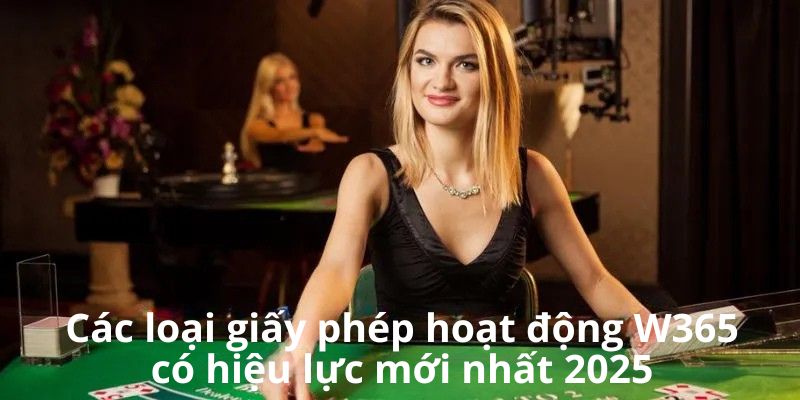 Các loại giấy phép hoạt động W365 có hiệu lực mới nhất 2025