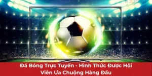 Đá Bóng Trực Tuyến Mang Lại Cơ Hội Đổi Đời Cực Hấp Dẫn