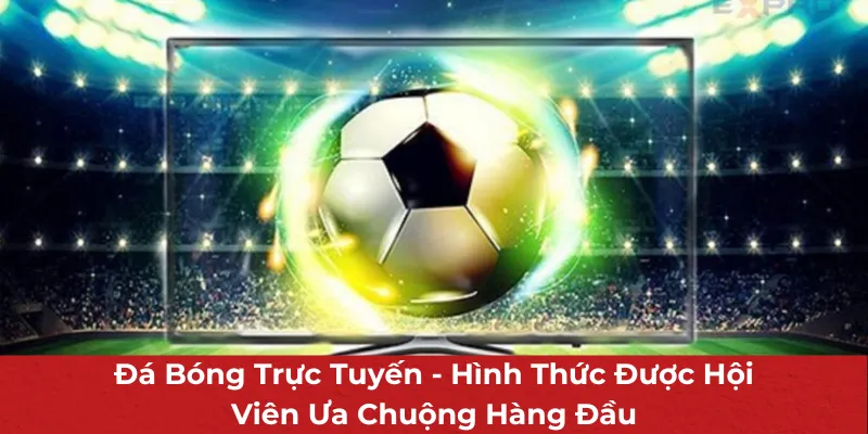 Đá Bóng Trực Tuyến Mang Lại Cơ Hội Đổi Đời Cực Hấp Dẫn