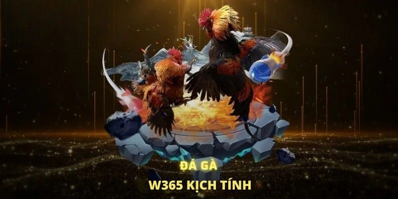 Đá gà W365 kịch tính