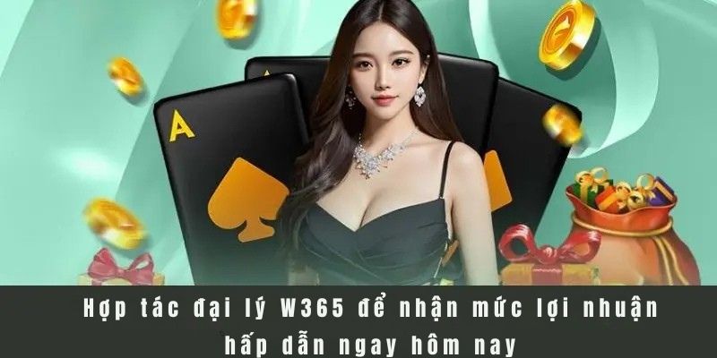  Hợp tác đại lý W365 để nhận mức lợi nhuận hấp dẫn ngay hôm nay