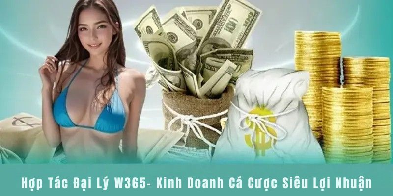 Hợp Tác Đại Lý W365 - Kinh Doanh Cá Cược Siêu Lợi Nhuận
