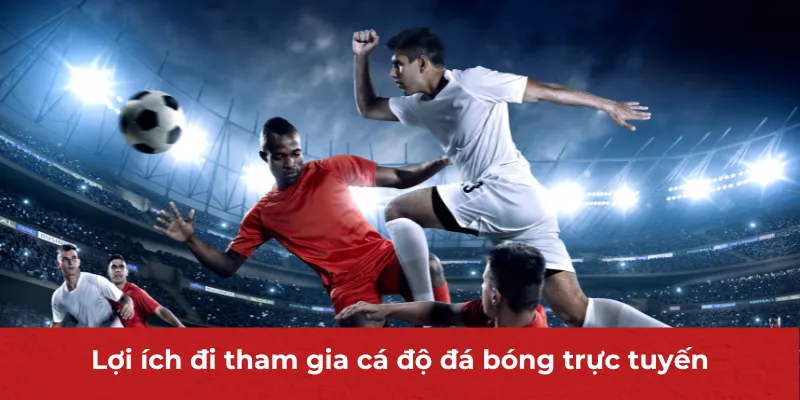 Lợi ích đi tham gia cá độ đá bóng trực tuyến