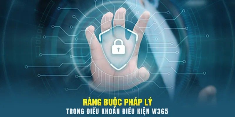 Ràng buộc pháp lý trong điều khoản điều kiện W365