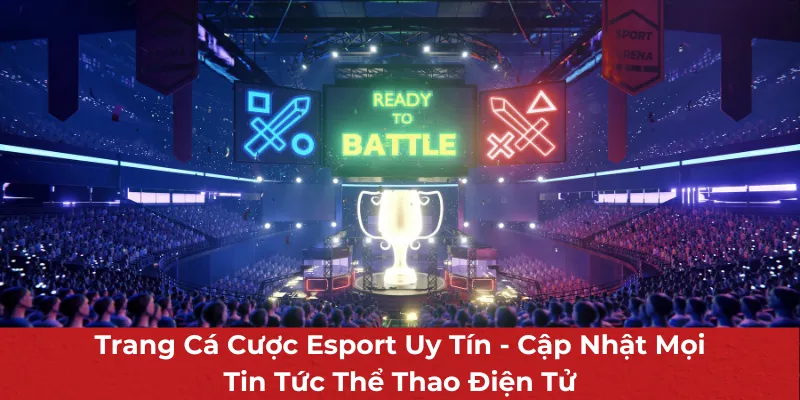 Giải mã các thắc mắc người chơi tại trang cược Esport